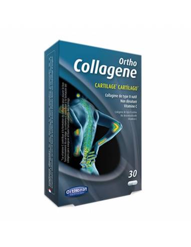 Collagene Cartilage 30 Gelules Orthonat
