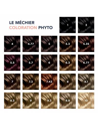 Phyto Coloration kit