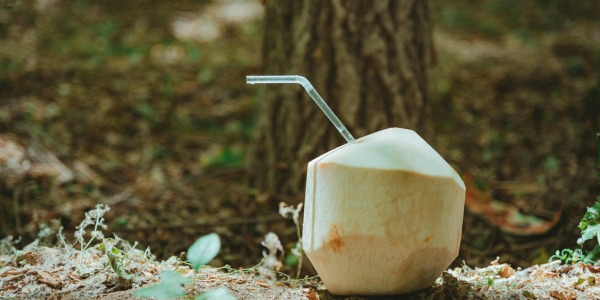 L'huile de coco : un ingrédient aux mille vertus